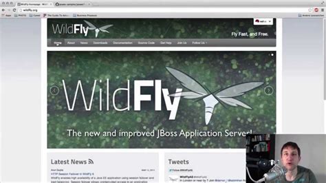 jboss wildfly 8 Hermes